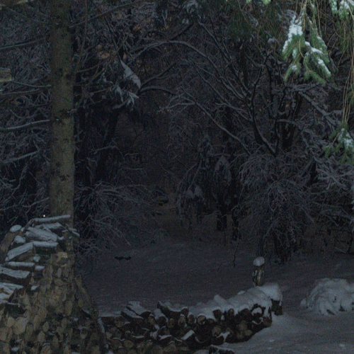 December Demonstration